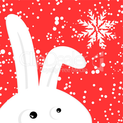 Funny rabbit on red christmas snowing background