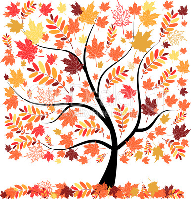 Beautiful autumn tree for your design