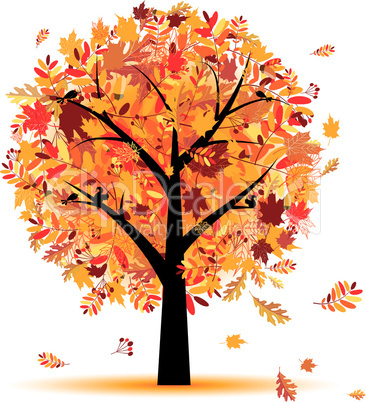 Beautiful autumn tree for your design