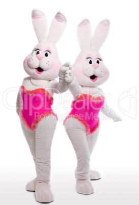 two bunny girl mascot costume