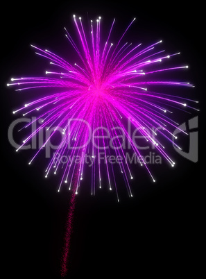 Festive purple fireworks at night