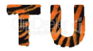 Tiger fell T and U letters isolated