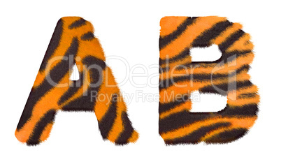 Tiger fell A and B letters isolated