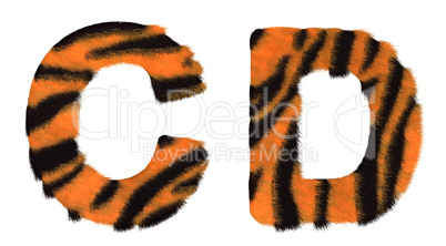 Tiger fell C and D letters isolated