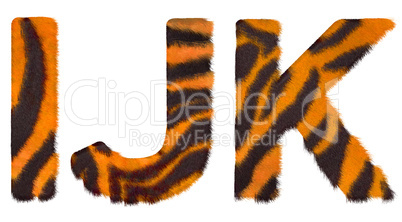 Tiger fell I J and K letters isolated