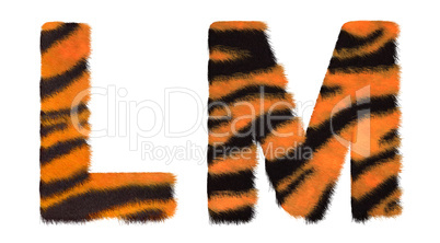 Tiger fell L and M letters isolated