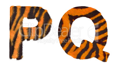 Tiger fell P and Q letters isolated