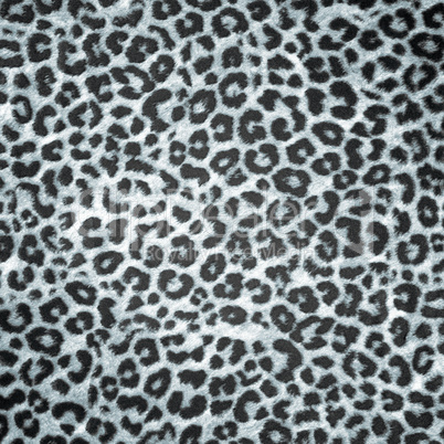 BW Leopard skin background or texture