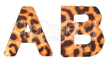 Leopard fur A and B letters isolated