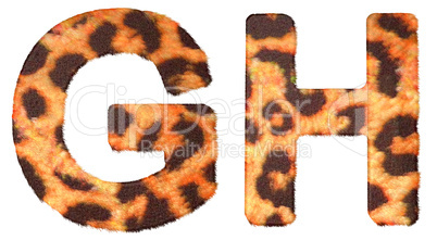 Leopard fur G and H letters isolated