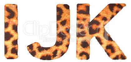 Leopard fur I J and K letters isolated