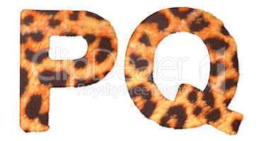 Leopard fur P and Q letters isolated