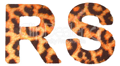 Leopard fur R and S letters isolated