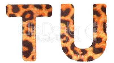 Leopard fur T and U letters isolated