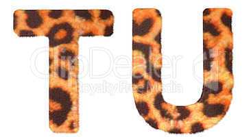 Leopard fur T and U letters isolated