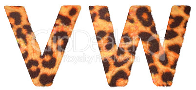 Leopard fur V and W letters isolated