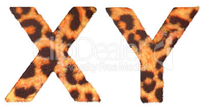Leopard fur X and Y letters isolated