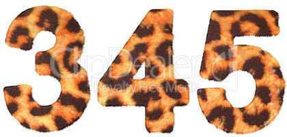 Leopard skin 3 4 and 5 figures isolated
