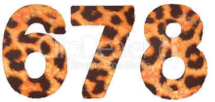 Leopard skin 6 7 and 8 figures isolated