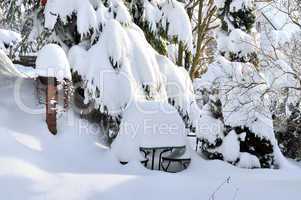 Garten im Winter