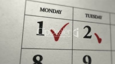 Months Calendar check
