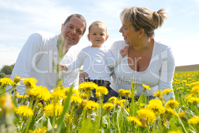 Familienfoto mit Kleinkind im Löwenzahnfeld