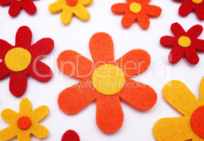 Colourful Flowers - Bunte Blumen