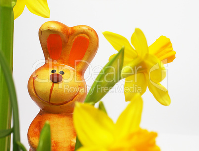 Happy Easter Bunny with Flowers - Osterhase