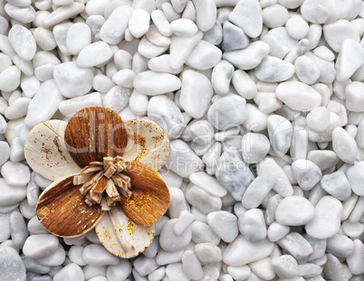 Wellness Flower on white Stones - Inspiration Concept