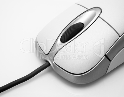 Computer Mouse - Close-up