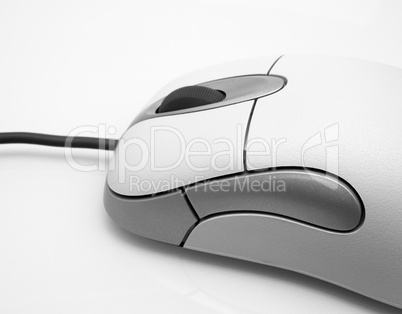 Computer Mouse - Close-up