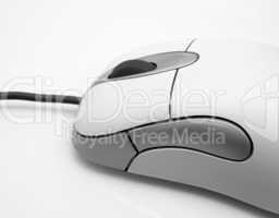 Computer Mouse - Close-up