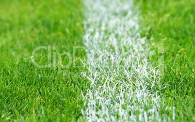 fußball rasen - soccer grass