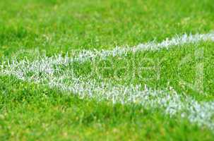 fußball rasen ecke - soccer grass