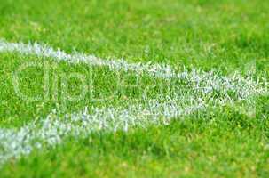 fußball ecke rasen - soccer grass