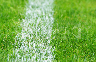 soccer grass - fußball rasen