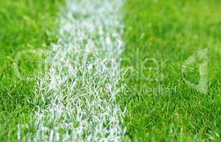 soccer grass - fußball rasen