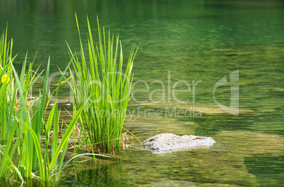 Wellness Stimmung am See - At the Lake