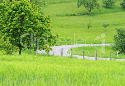 Street and Nature - Concept green