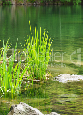 Natur Erlebnis am See - At the Lake