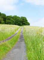 Natur & Himmel - Nature & Sky