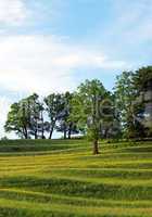 Naturlandschaft Abendsonne - Nature Evening Sun