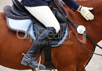 Reitsport Detail - Horse Woman