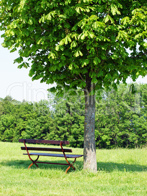 Erholung in der Natur - Relax in Nature