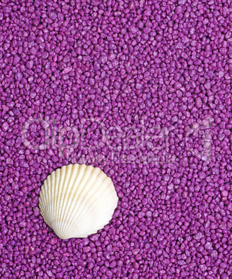 Violett / Purple Wellness - Concept