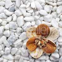 Wooden Flower on white Stones - Wellness Concept