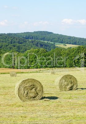 Heu Ernte & Natur - Hay & Nature