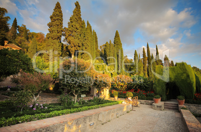 Alhambra garden, Granada, Spain