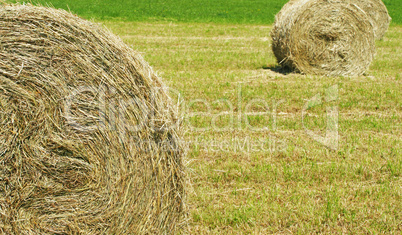 Die Heu Ernte in der Natur - Farmland