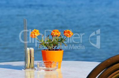 Restaurant at the Lake - Relax Concept